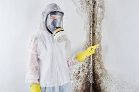 Timberlane, IL Mold Removal Services Company